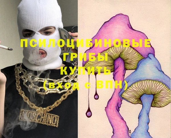 крисы Арсеньев