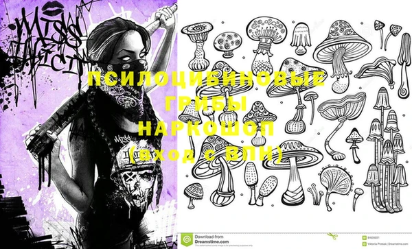 крисы Арсеньев
