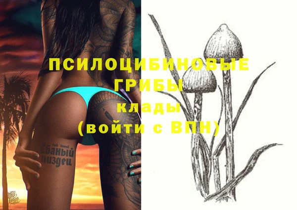 крисы Арсеньев