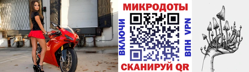 площадка как зайти  Козьмодемьянск  Галлюциногенные грибы мухоморы 